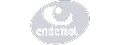 Endemol