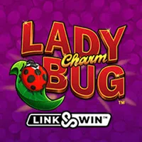 Lady Charm Bug