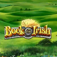 Book of Irish