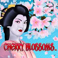 Cherry Blossoms