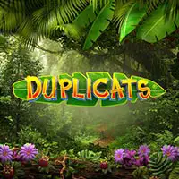 Duplicats