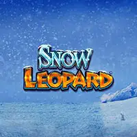 Snow Leopard