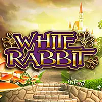 White Rabbit
