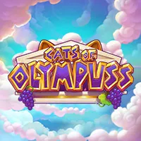 Cats of Olympuss