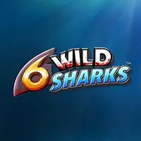 6 Wild Sharks