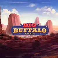Big Buffalo
