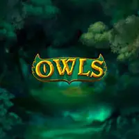 Owls